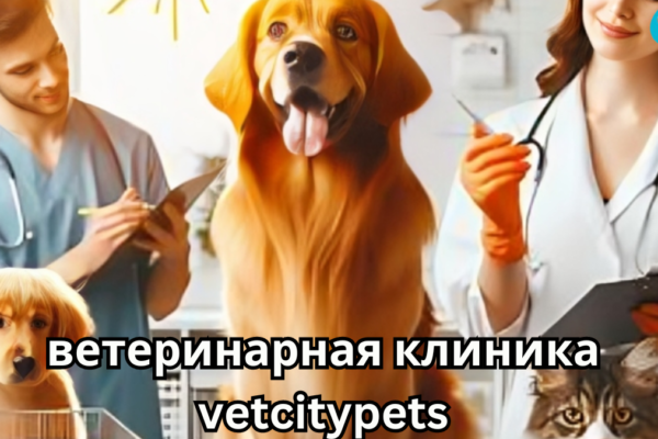 ветеринарная клиника vetcitypets