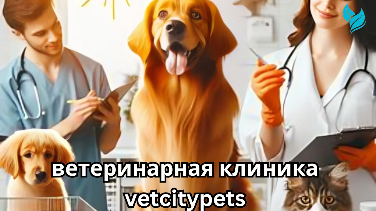 ветеринарная клиника vetcitypets