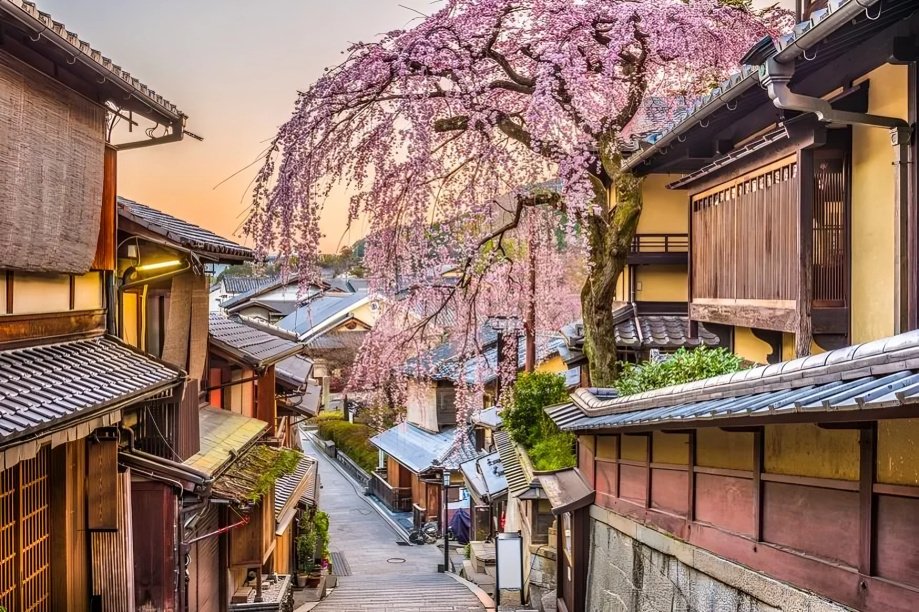 Best Time to Visit Japan